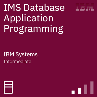 Database Application Programming badge